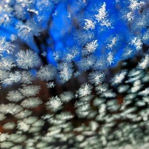 Meet your Posher, Wendy